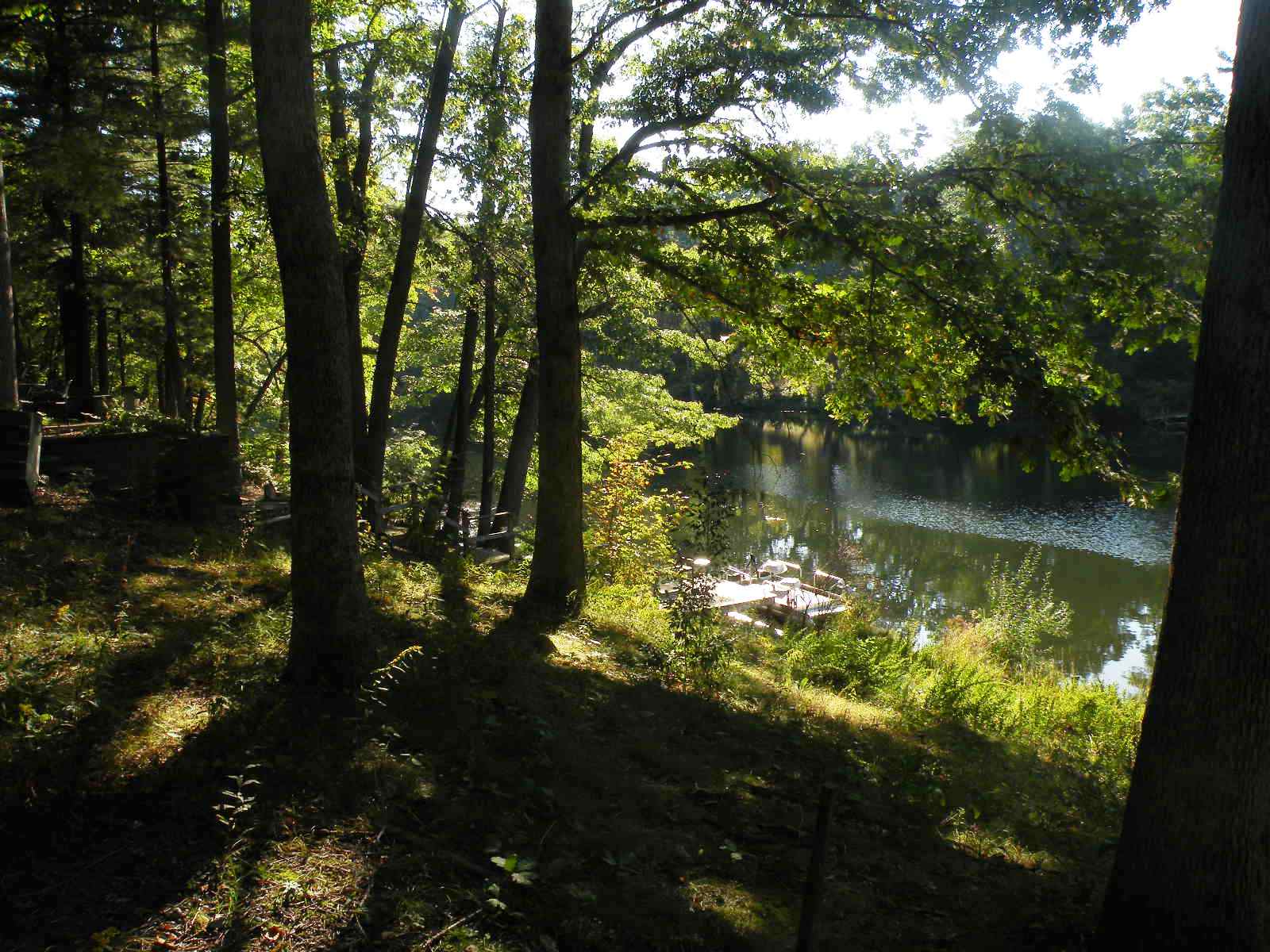 Robinson Pond Waterfront on Island 12516 Barns & Farms Realty, LLC