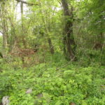 Pawling Holmes 40 Acres White Rock Road 12531