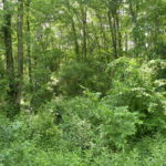 Pawling Holmes Land Route 292 12531
