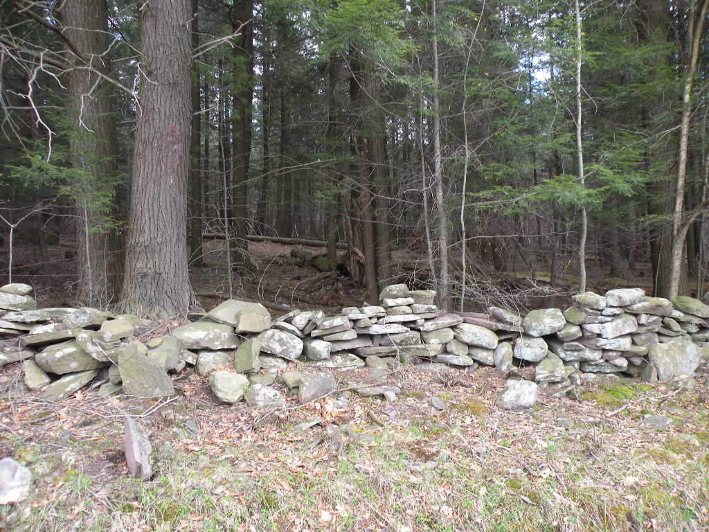 64 Park Avenue Jewett Land for Sale 7.5 acres12444 Barns & Farms