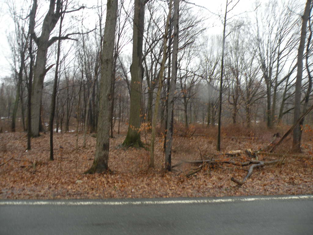 Mount Merino 7 Acres Seasonal Views 12534 Barns & Farms Realty, LLC