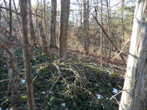 Elizaville Twin Lakes