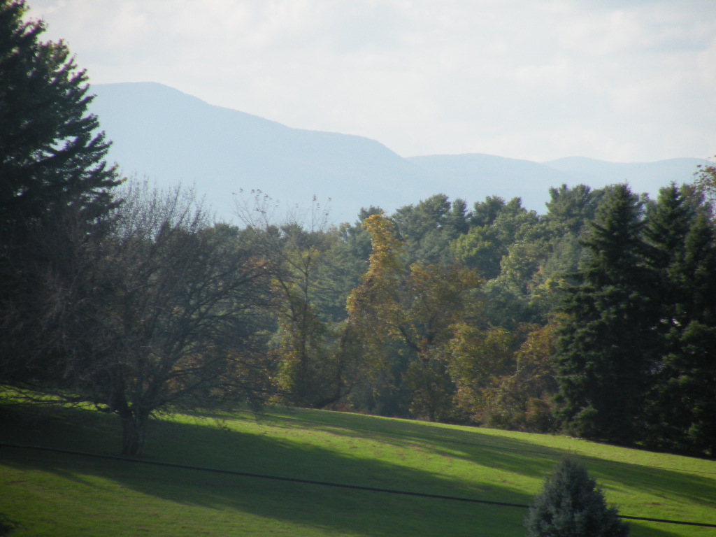 Claverack 21 Acres Views Subdividable 12521 SOLD Barns & Farms