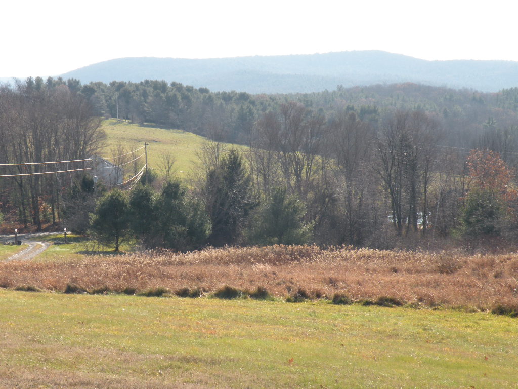 Canaan Land 12 Acres Views Fields Private 12029 Barns & Farms Realty, LLC
