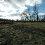Pawling Farm 100 Acres Agricultural Development12564