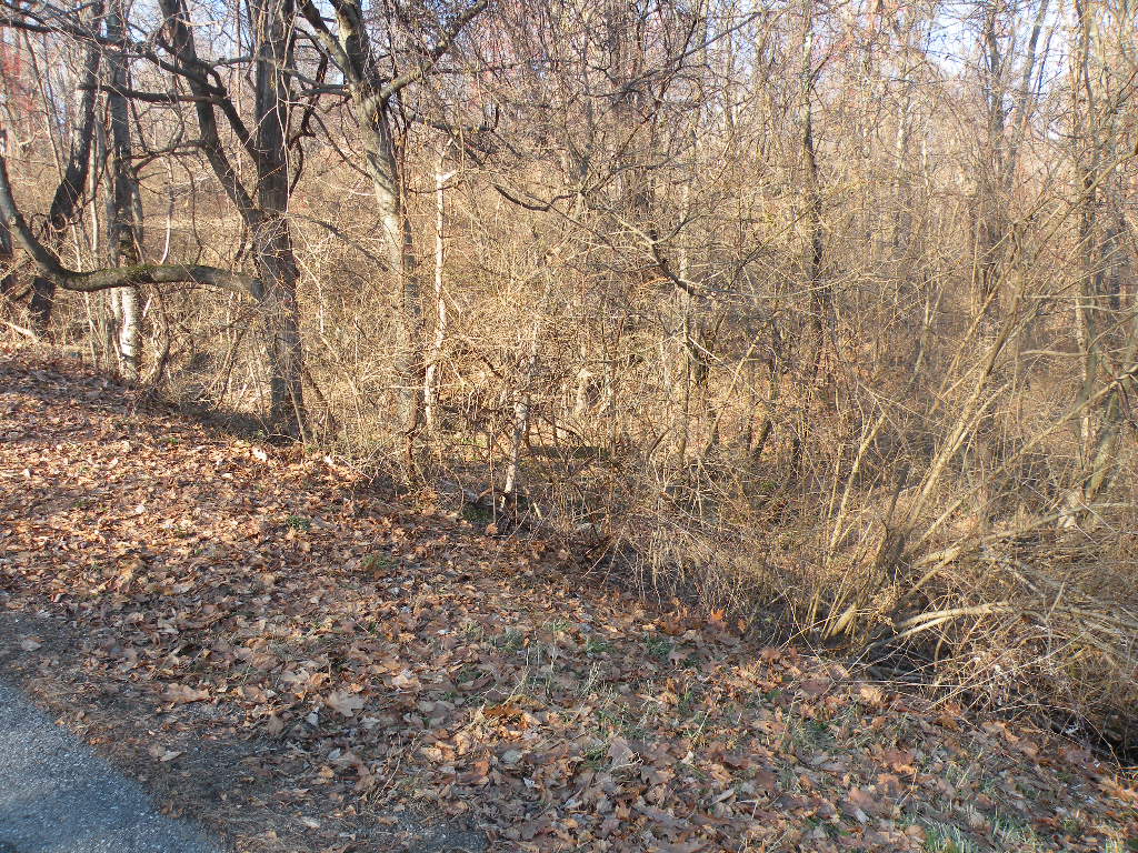 Millbrook NY 13 Acre Parcel12522 Barns & Farms Realty, LLC