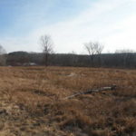 Old Chatham 6.8 Acres 12184 Sold