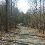 Old Chatham Farm 12125