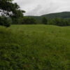 Canaan Land 5+ Acres Tunnel Hill Road 12029