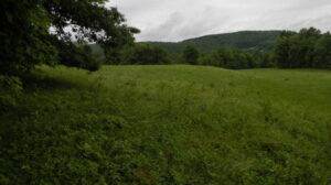 Canaan Land 5+ Acres Tunnel Hill Road 12029
