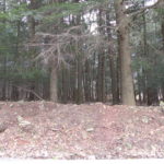 5588 Route 23C Jewett Land for Sale 5.3 Acres 12444