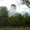 LIVINGSTON-CATSKILL-VUS1