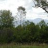 LIVINGSTON-CATSKILL-VUS1-300x225