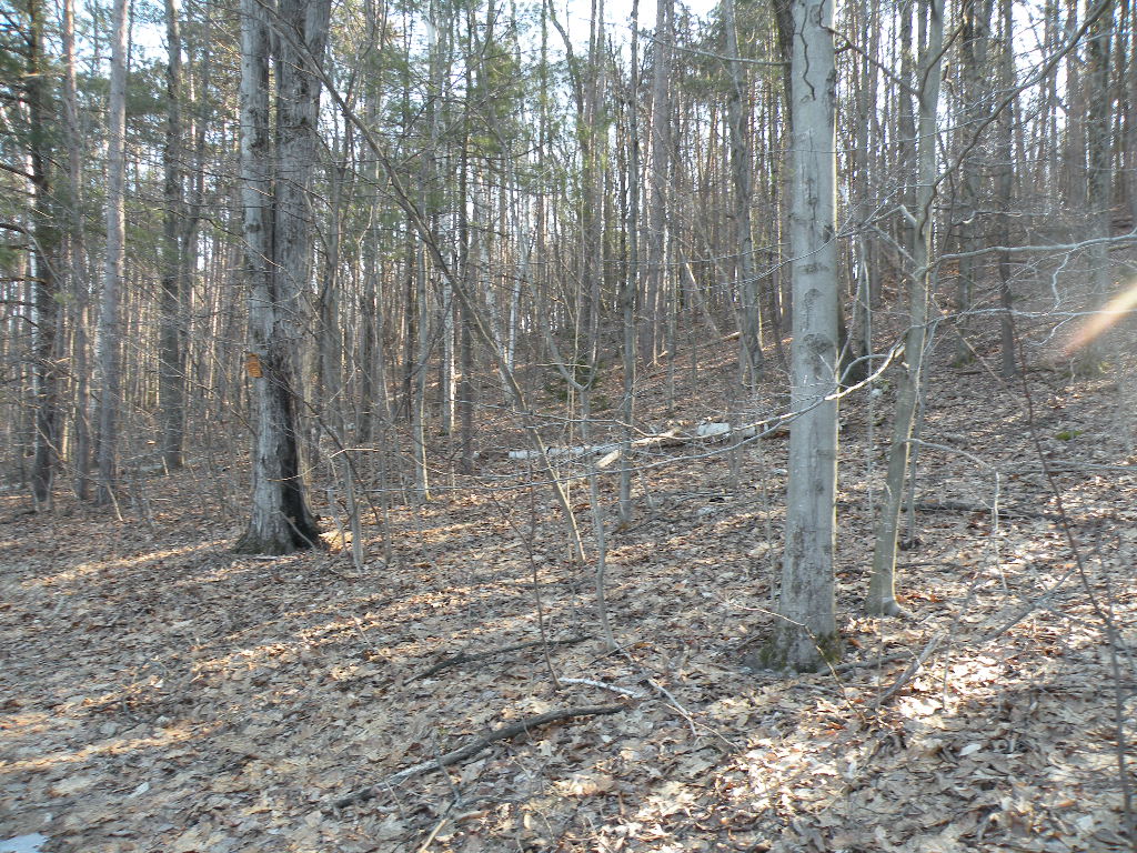 Canaan Land 5 Acres 12029 Private Road Accessible 2 ways Barns