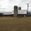 #3 dairy barn