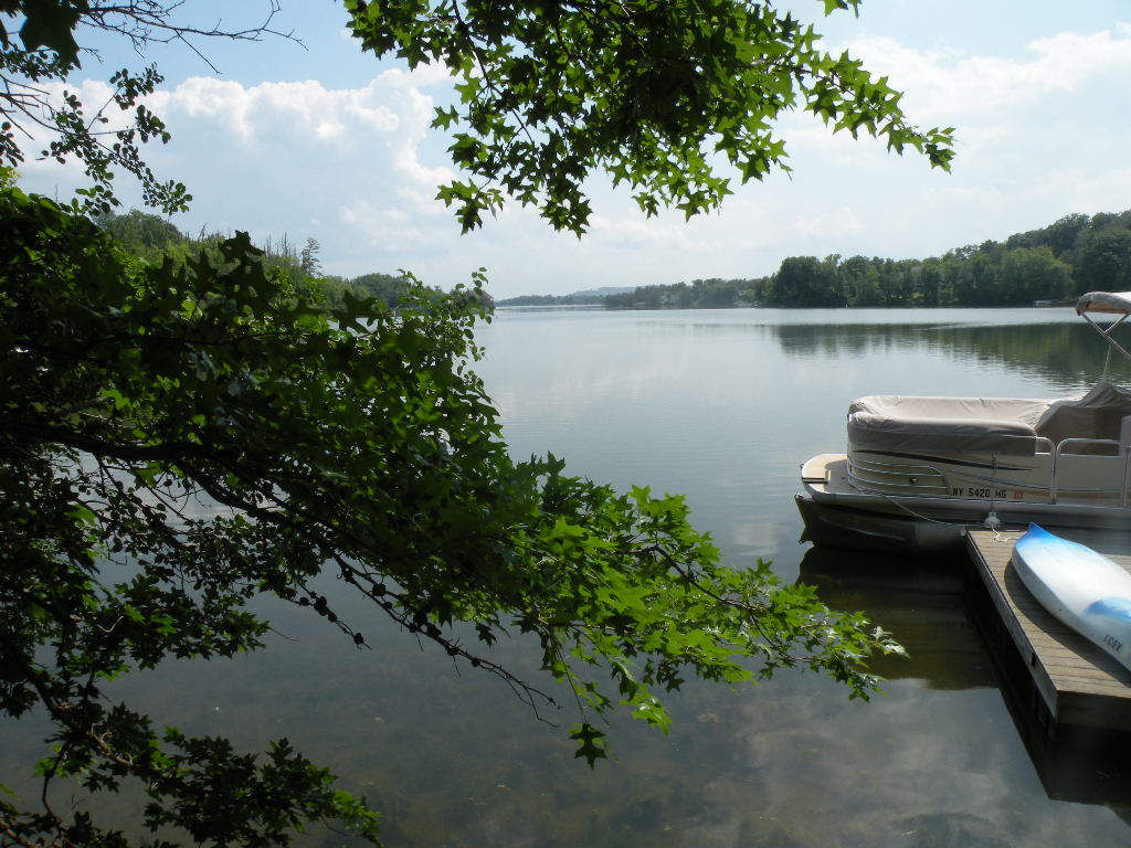 Sleepy Hollow Lakefront Lot .39 Acre 12051 SOLD Barns & Farms Realty, LLC