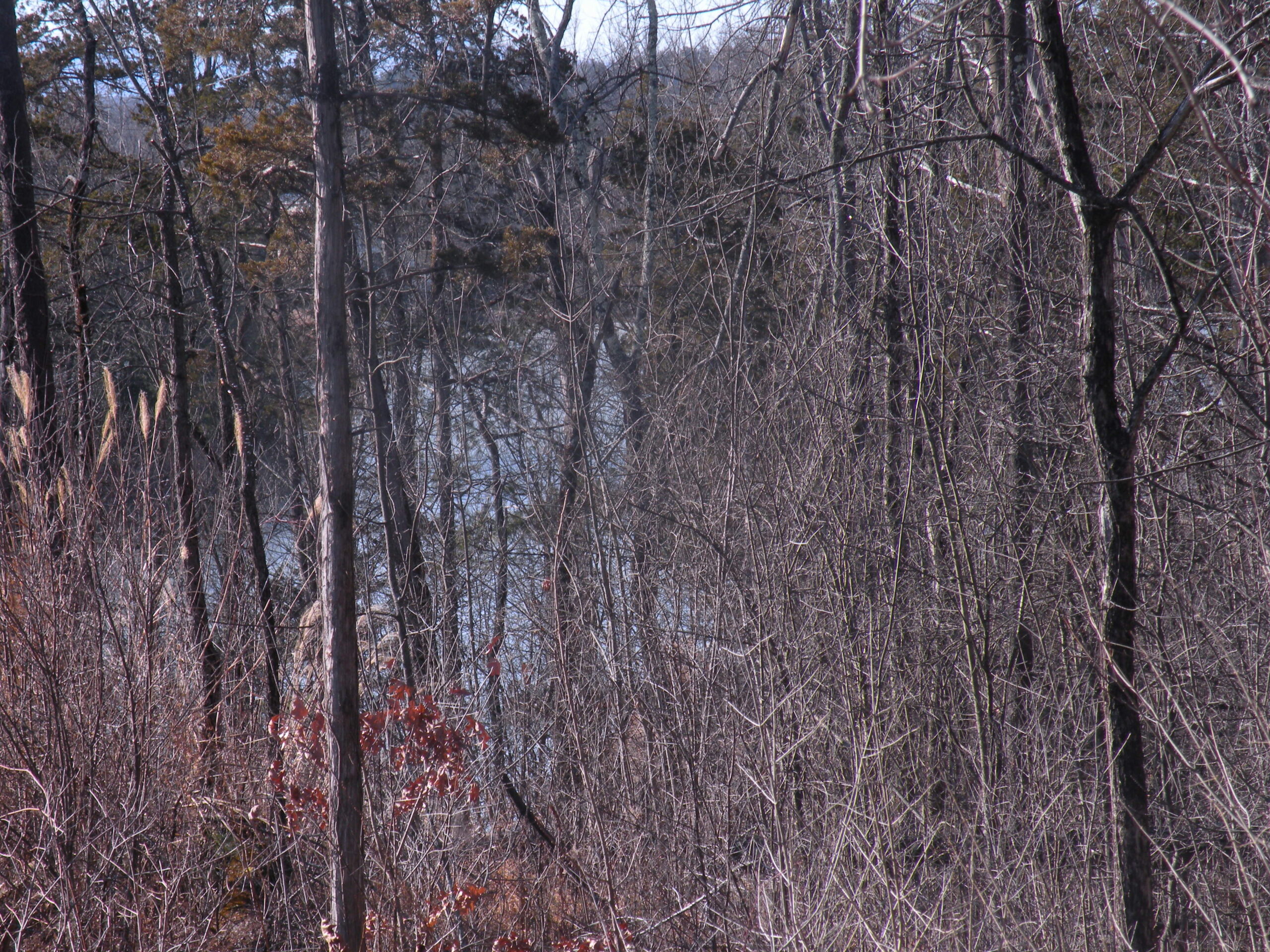 Sleepy Hollow Lake Lot Private Location Level 12015 Barns & Farms