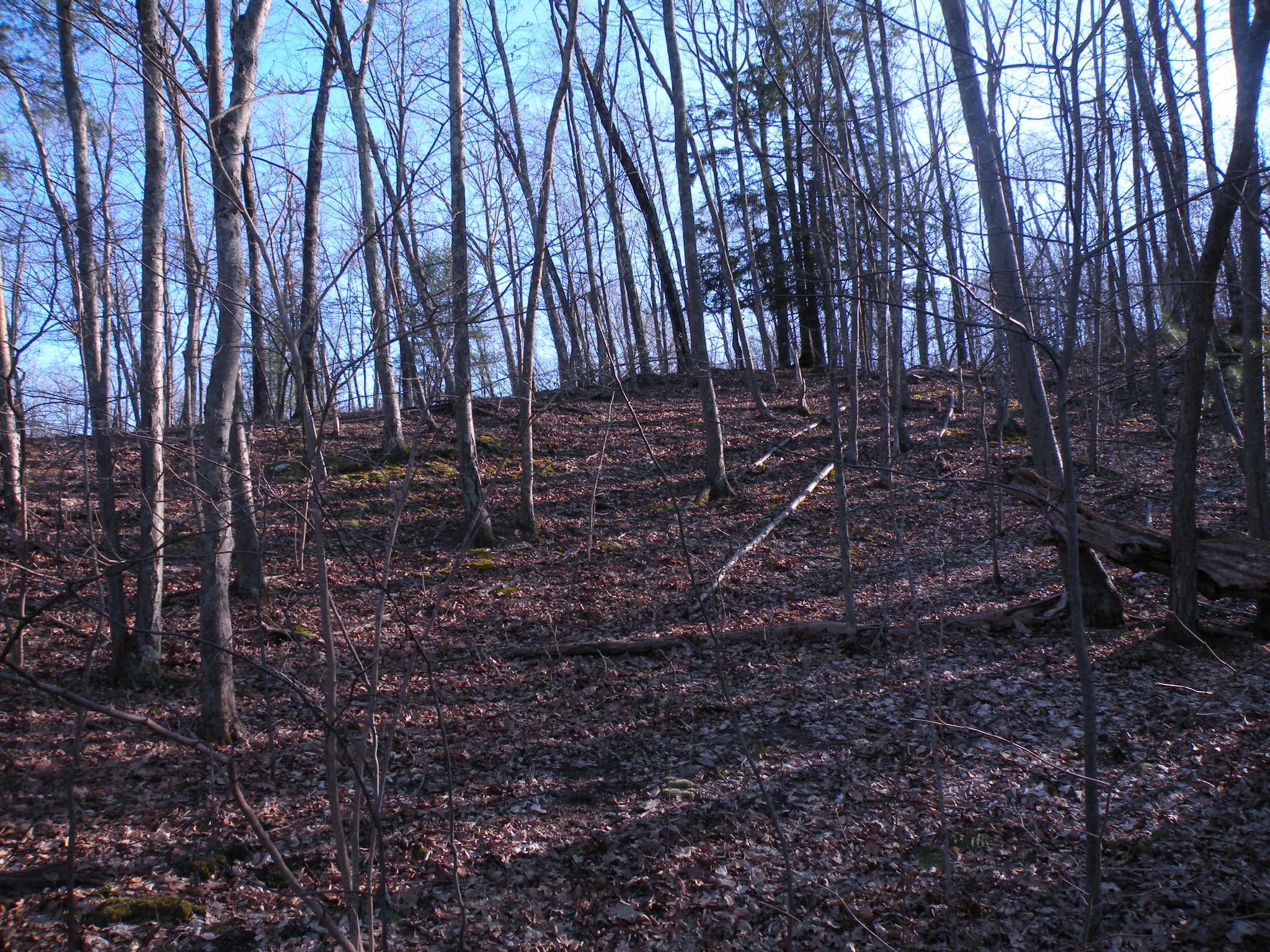 Hyde Park 90 Acres Approved Subdivision 31 Lots 12538 Barns & Farms