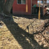 photo - 06