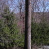 4-7-2020-007