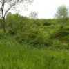 Ghent Land 2 Acres Great Location Near Omi