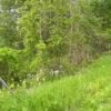 Ghent Land 2 Acres Great Location Near Omi