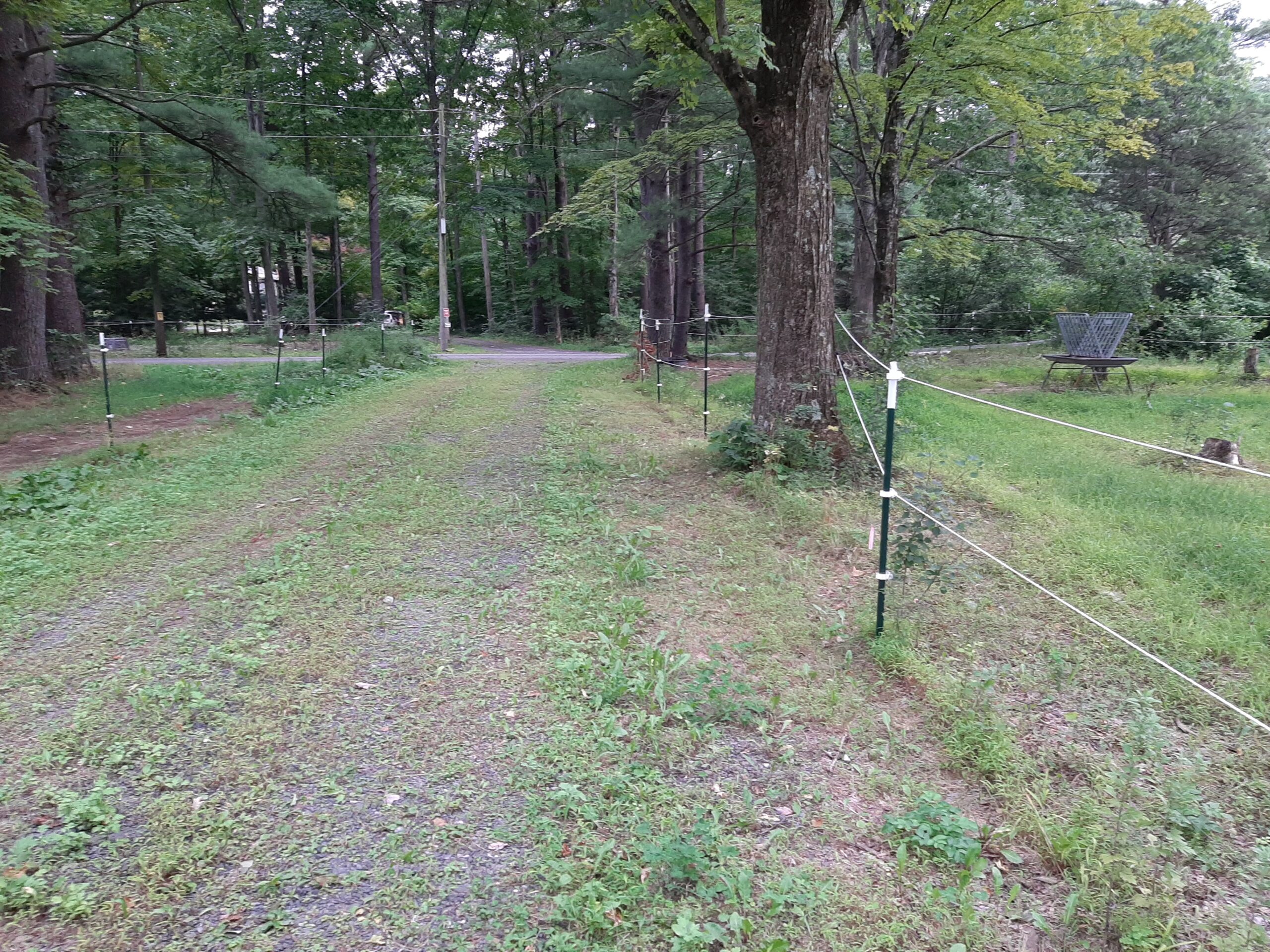 Cairo 15 Acres Land Country Road 4 lot Subdivision