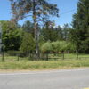 06-03-20-1 005