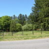 06-03-20-1 007