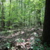 New Lebanon Wadsworth Hill 7+Acres, Creek, Quiet Road 12125