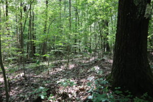 New Lebanon Wadsworth Hill 7+Acres, Creek, Quiet Road 12125