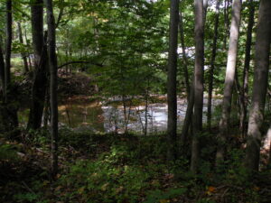 Durham NY Land 25Acres Open Fields Private Access 12442