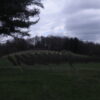 4-20-2020 005