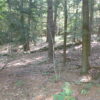 Austerlitz Building 2Acres Dead End Road 12017