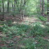 New Lebanon 22 acres with 3 building sites 12125