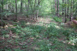 New Lebanon 22 acres with 3 building sites 12125