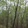 08_29_2021_1403