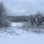 HUNTER-WINDHAM DEVELOPMENT OPPORTUNITY