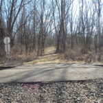 SCHODACK 51 ACRES WITH HUDSON RIVER ACCESS